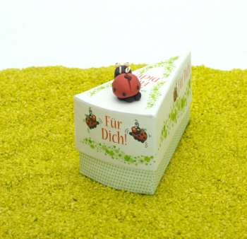 Geschenkschachtel Tortenstück mit Glückskäfer - Für Dich