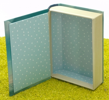 Geschenkschachtel Buch - Wenn Träume fliegen lernen