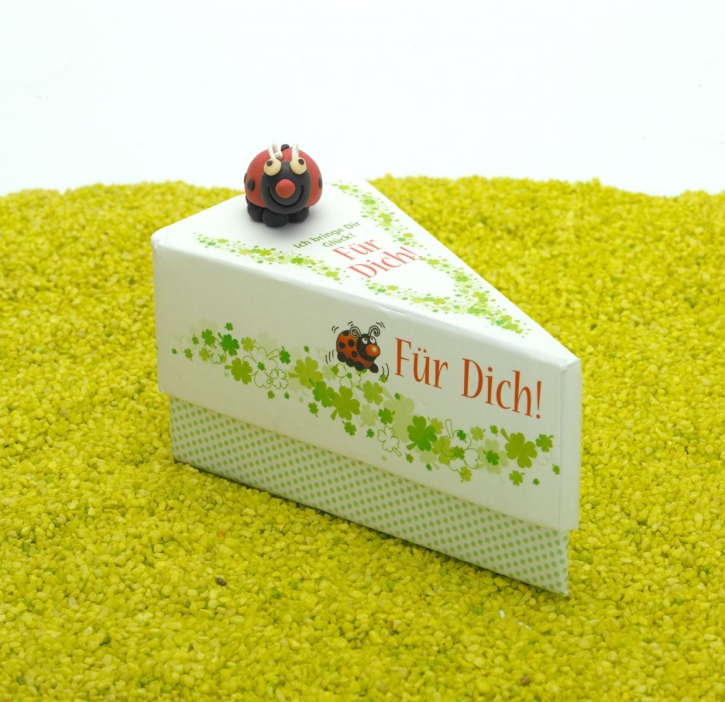 Geschenkschachtel Tortenstück mit Glückskäfer - Für Dich